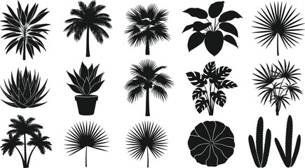 Tropical plant silhouettes set, exotic palm tree leaves, monstera foliage, cactus and agave garden elements, botanical floral vector illustrations for summer design, isolated on white background.