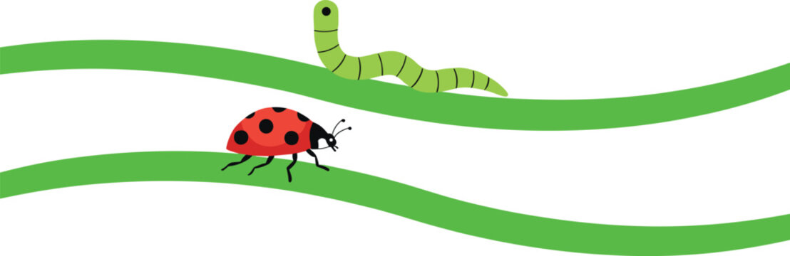 Vector illustration of a cute green caterpillar and a red ladybug crawling on curved green blades of grass.