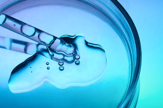 Petri dish with glass pipette and face serum on a gradient background.