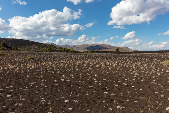 Barren lava field and sedges