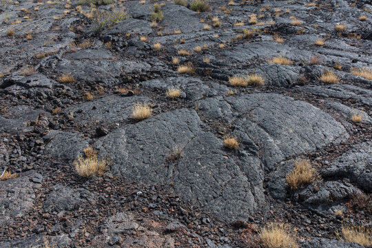 Volcanic rock and grasses