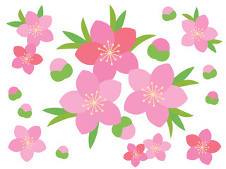 ひな祭り 桃の花のイラスト