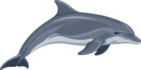 Obraz premium Dolphin Illustration A Graceful Marine Mammal Depicted in a Simplified Vector Style