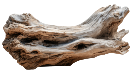 Weathered driftwood log showing organic texture and patterns, isolated with transparent background