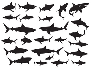 vector set shows of shark silhouettes in different swimming poses, designed as clean solid black shapes suitable for illustration use.