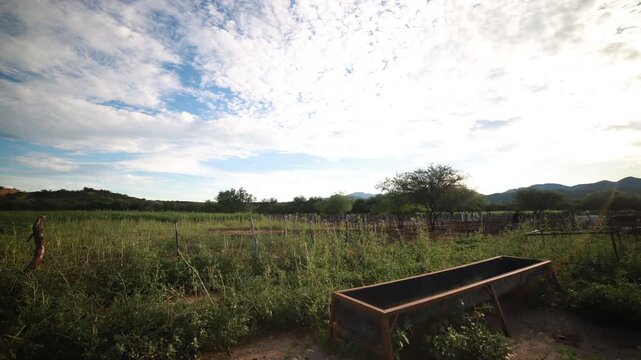 timelapse de un verano del campo verde, nubes blancas pasando rapido con un cielo azul de fondo, lugar en la sierra de Sonora M&eacute;xico