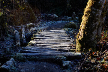 Frosty Bridge in the Sunshine