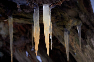 Icicle Close Up