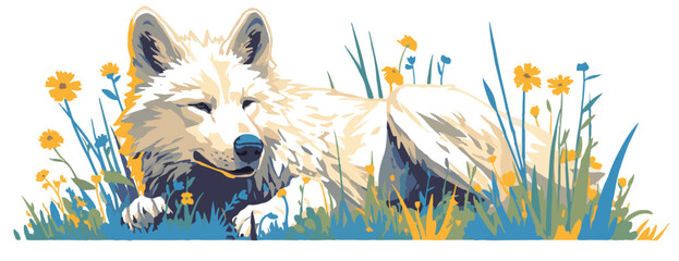 Naklejka premium Ilustracja białego wilka leżącego w trawie wśród żółtych kwiatów na białym tle.