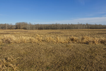 Elk Island in the Autumn