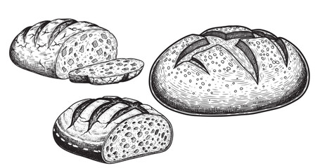 Bread loaf engraving illustration for bakery packaging and menu