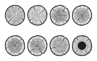 Set of tree trunk cross-section illustrations showing annual growth rings, cracks, and wood texture © trianatio