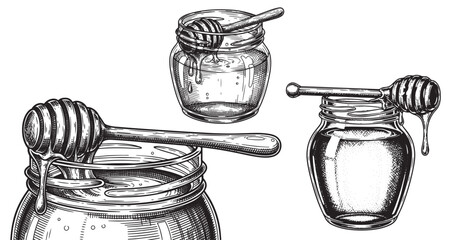 Honey jar engraving illustration for natural food packaging