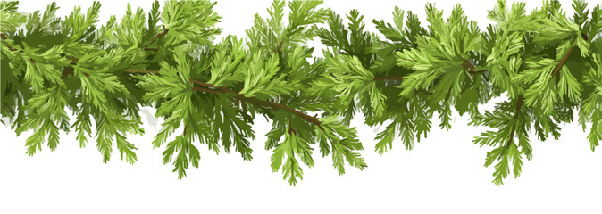 Zielona girlanda z igiełkowatych gałązek jodły lub świerku na przezroczystym tle, dekoracja świąteczna.