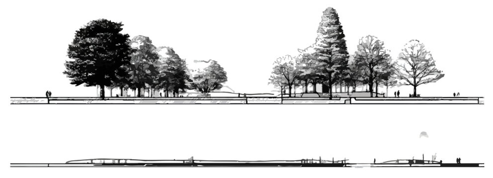 Handgezeichnete Schwarz-Wei&szlig;-Skizze einer Baumreihe, ideal als transparentes Designelement f&uuml;r Landschafts- und Architekturprojekte.