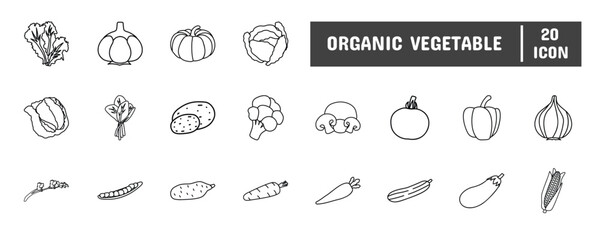 20 Organic Vegetable Line Icon Illustration Set