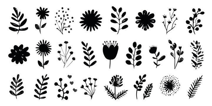 Collection d'&eacute;l&eacute;ments floraux et botaniques dessin&eacute;s &agrave; la main, silhouettes noires transparentes pour le design graphique.