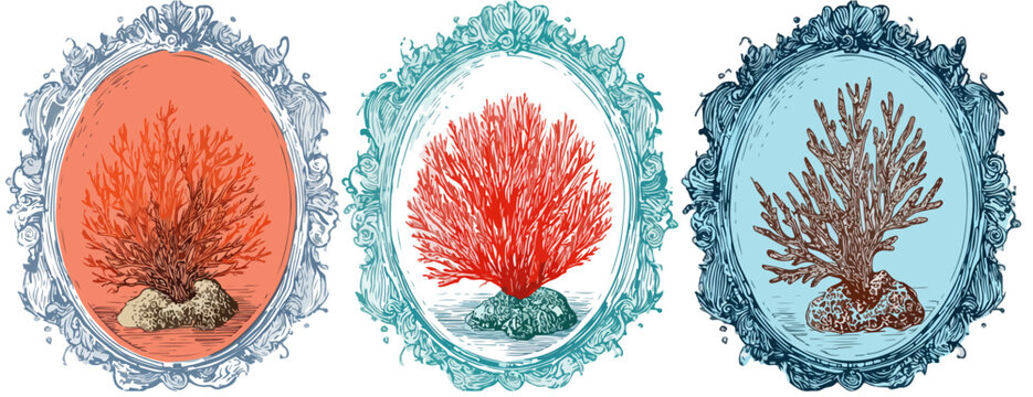 Superbes illustrations de coraux marins rouges et bruns, encadr&eacute;es dans des motifs ornementaux vintage, avec un fond transparent pour un design &eacute;l&eacute;gant.