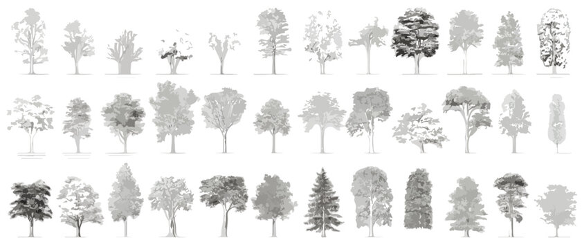 Grande collection d'arbres vari&eacute;s en silhouettes d&eacute;taill&eacute;es, id&eacute;ales pour l'architecture et le design graphique, avec fond transparent.
