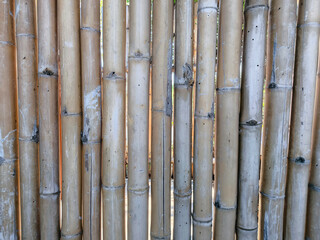 Brown old Bamboo Fence Background Texture