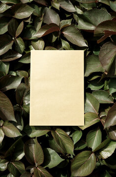 Organic photo brown kraft paper card sheet on leaves botanical texture