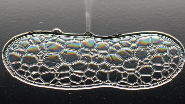 Soap Bubble Sheet