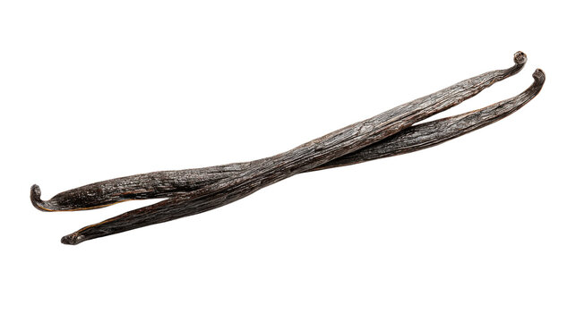 Vanilla pods offering sweet aromatic flavor for cooking and baking ingredients, isolated on transparent background