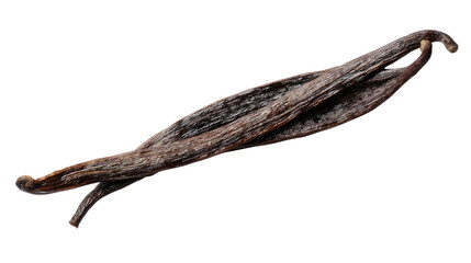 Obraz premium Dried vanilla pods adding aromatic flavor to culinary creations and baking, natural ingredient with transparent background