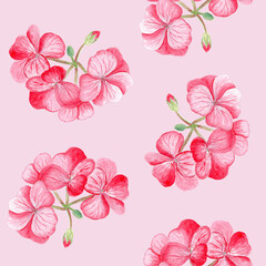 Watercolor floral seamless pattern with red geranium. Hand-painted delicate petals, green buds. Perfect for wrapping paper, floral textile, wedding invitations, greeting cards, natural decor projects