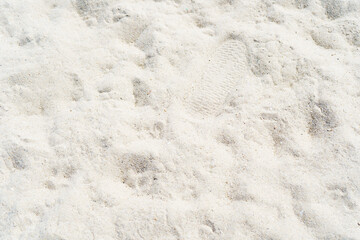 Beach Land texture sand background.