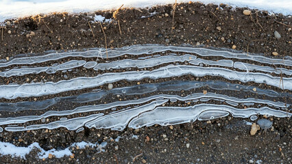 Snowmelt Ice Ribbons on Dirt Soil