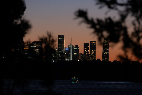 Sydney Skyline Framed by Trees after Sunset