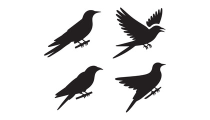 black color Swifts set of silhouette vector illustration, solid white background © silhouette