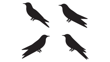 black color Swifts set of silhouette vector illustration, solid white background © silhouette