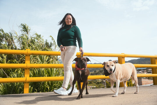 Woman walking two dogs on bridge outdoors