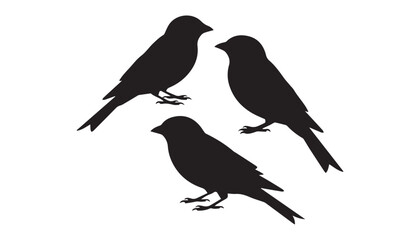 black color Swifts bird set of silhouette vector illustration, solid white background © silhouette