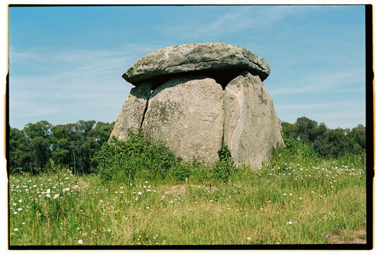 Ancient dolmen surrounded by spring wildflowers