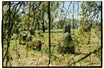 Cromlech stones viewed through soft foreground leaves