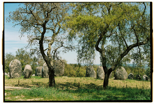 Cromlech stones and two cork oak trees
