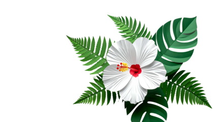 White hibiscus with a red center, surrounded by lush green leaves, on a black backdrop
