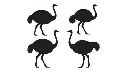 black color ostrich set of silhouette vector illustration, solid white background