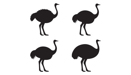 black color ostrich set of silhouette vector illustration, solid white background