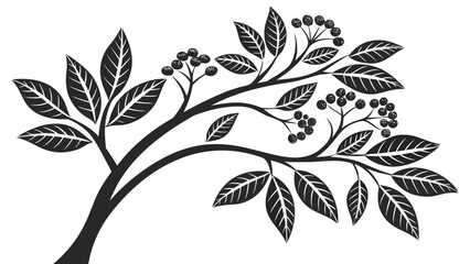 Aromatic Spice Tree Illustration with Clove Buds and Berries, Black Vector Design Element © ahmad hussain
