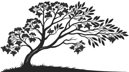 Obraz premium Little Spice Tree Silhouette with Cloves and Berries, Minimalist Botanical Icon for Herbal Products