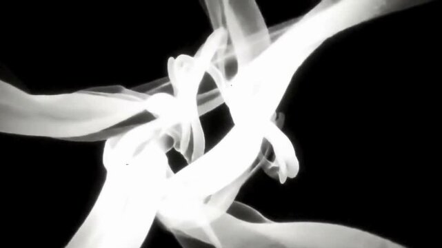 A closeup view of a white and black abstract of a skeletal structure with intricate details