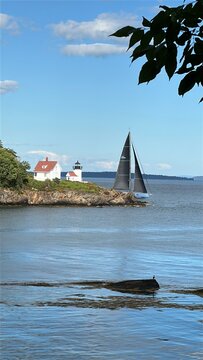 sailboat off maine coast