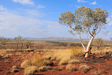 Arid landscape of Karijini National Park. Western Australia.