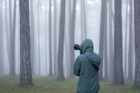 Photographer is taking photo of the new discovering bird species while exploring in pine forest for surveying and locating rare biological diversity and ecologist on field study