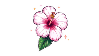 A pink and white hibiscus flower illustration with a green leaf and sparkling stars