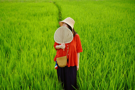 A Chinese woman in red is holding a palm-leaf fan in a rice paddy